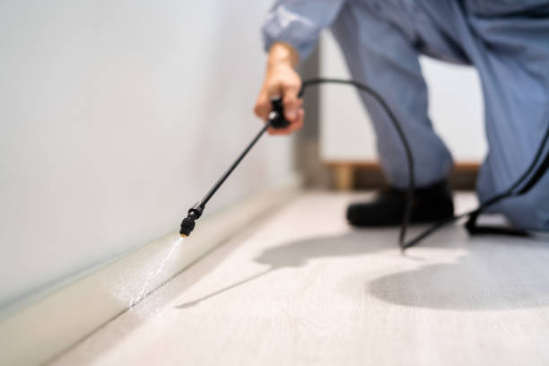 Licensed Pest Control service in Lake Panasoffkee, FL - Show Me Pest Control