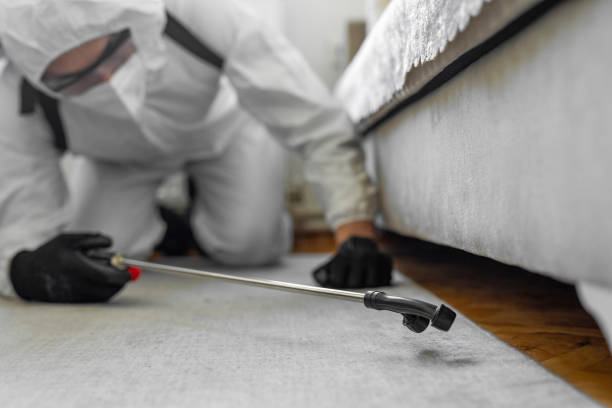 Professional Ant Control technician working in Lake Panasoffkee, FL