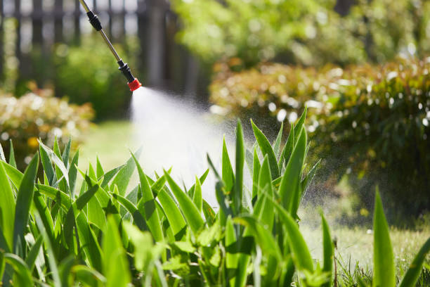 24/7 Emergency Wasp Removal experts in Lake Panasoffkee, FL