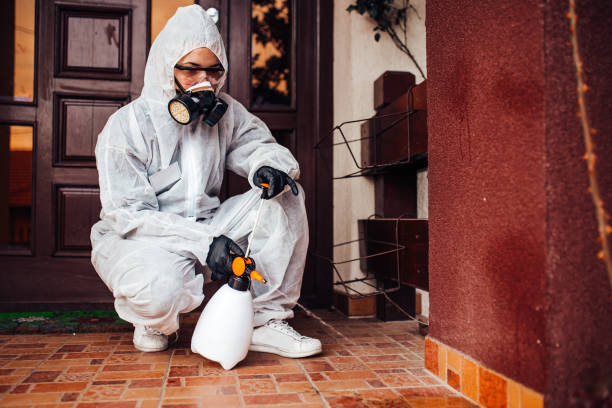 Reliable Wasp Removal contractor in Lake Panasoffkee, FL by Show Me Pest Control